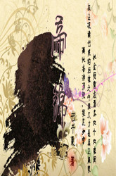 她不会死封面头像