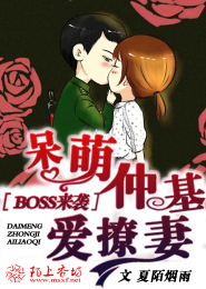 黛玉问情