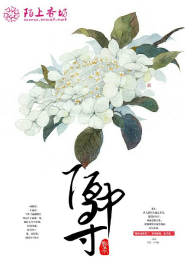 宠物小精灵之妖孽免费阅读