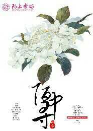 前妻不好追