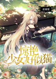 魔法少女小圆官方小说