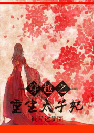 九阴九阳有声小说全集