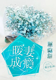 新崇祯纪实