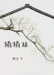 全职杀手之我的极品未婚妻