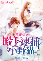 言情小说女追男