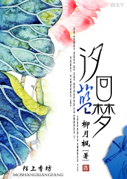 以胡列娜为女主的小说