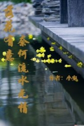 吾王荣耀