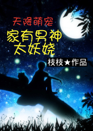 摘星小说