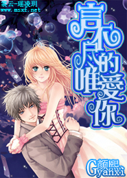 全职高手珍藏版epub