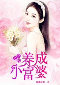 王城小说