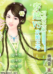 红楼梦电子书