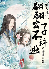 我的蝴蝶夫人