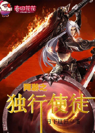 全职盗贼