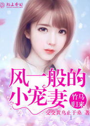 純h短篇小說