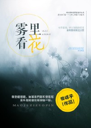 代嫁将军妾全