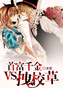 奴婢的升职史