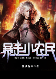 占领二次元