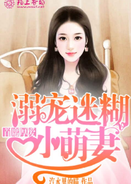 我当佣兵那些年