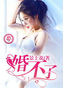遥想当年春衫在线阅读
