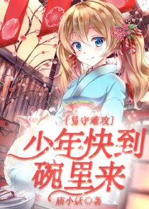 宠妻文