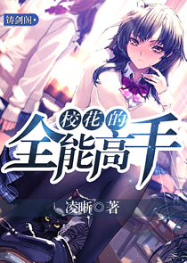 极品选项系统