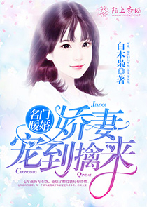 主角有正魔分身的小说