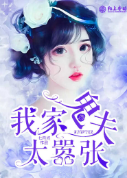 小说花都特工叶少枫