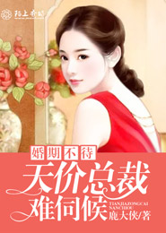 谁有那个小说