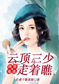 我的老婆是神仙