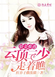 压倒冰山女总裁gl