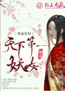 杨宗保大战杨门女将txt