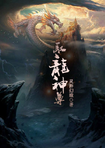 全系灵师魔帝嗜宠兽神妃