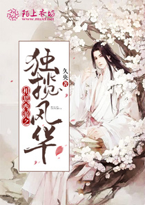 重生天波府之新姑爷