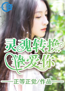 板野友美重生同人小说