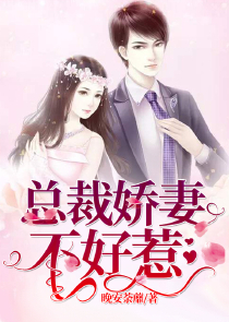 学姐追学弟的言情小说