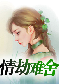 无双赘婿沈默与苏婉瑜