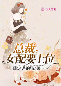 CEO首席情人