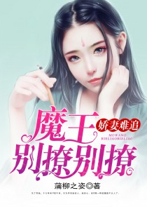 悍女训夫记