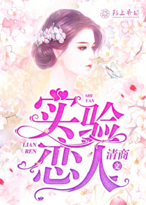 类似契约夫妻小说