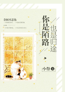 河图文化小说epub