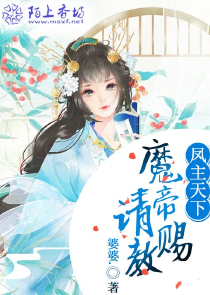 女尊快穿之妻主是个宠夫狂
