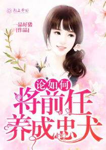 關於盧婷的小說