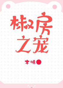 火影之模板系统