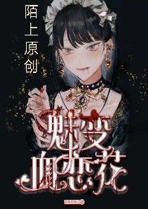 美型妖精大混战之风仙王道