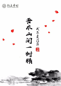 夺宝幸运星第二季主题曲
