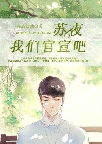 凤平调蒋牧童小说