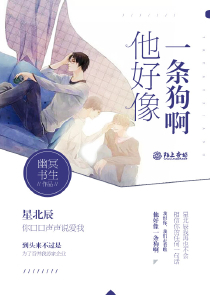 同人言情影视小说