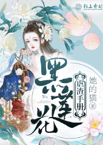 类似天火大道的书