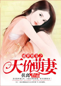 女婿小说