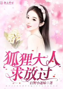 凤轻作品集